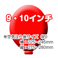 9・10インチ：横約225～245mm 縦約275～280mm ※空気注入後